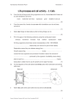 Life processes and cell activity – 1: Cells