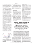 Adaptive Immune Response of V2V2 T Cells During Mycobacterial