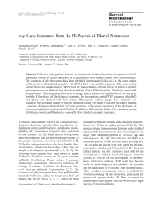 wsp Gene Sequences from the Wolbachia of Filarial Nematodes