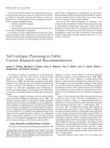 Tall Larkspur Poisoning in Cattle: