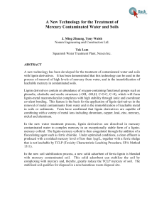 A New Technology for the Treatment of Mercury Contaminated