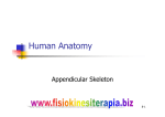 Human Anatomy - Fisiokinesiterapia
