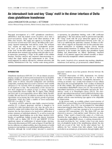 An intersubunit lock-and-key `Clasp` motif in the dimer interface of