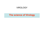 Introduction to Virology - cmb