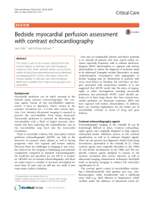 Bedside myocardial perfusion assessment with contrast