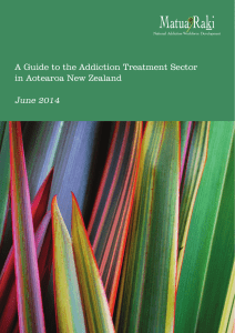 A Guide to the Addiction Treatment Sector in Aotearoa
