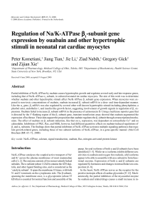 Regulation of Na/K-ATPase β1 -subunit gene