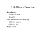 Life History Evolution