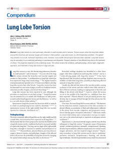 Lung Lobe Torsion