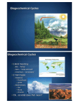 Biogeochemical Cycles