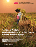 The Risks of Multiple Breadbasket Failures in the 21st Century: A