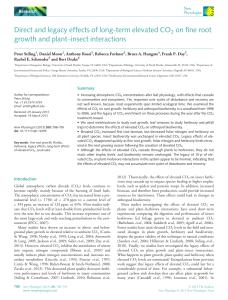 Direct and legacy effects of longterm elevated CO2 on fine root