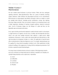 Module 4 Lecture 3 Plant hormones