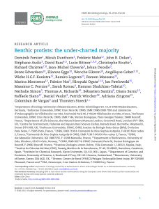 Benthic protists: the under-charted majority