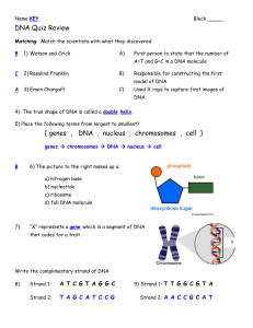 DNA Quiz Review { genes , DNA , nucleus , chromosomes , cell }