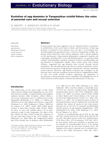 Evolution of egg dummies in Tanganyikan cichlid fishes: the roles of