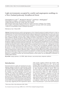 Light environments occupied by conifer and angiosperm