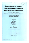 Immobilization o( Digestive Enzymes for Improvisation of Shelf life in