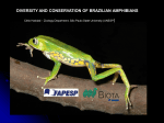 diversity and conservation of brazilian amphibians