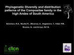 Phylogenetic Diversity and distribution patterns of the