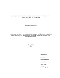 CHARACTERIZATION OF THE ROLE OF PSEUDOMONAS