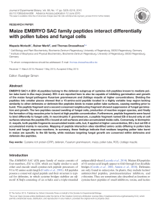 Maize EMBRYO SAC family peptides interact differentially with