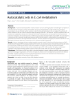 Autocatalytic sets in E. coli metabolism