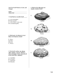 Unit Test Earth Patterns, Cycles, and Changes Name