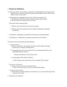 I. Membrane Definitions