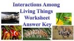 Interactions Worksheet ANSWER KEY