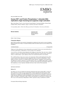 Human RIF1 and protein phosphatase 1 stimulate DNA replication