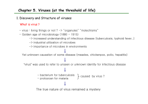 Chapter 5. Viruses (at the threshold of life)