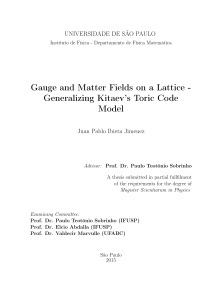 Gauge and Matter Fields on a Lattice - Generalizing