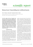 Release factor 2 frameshifting sites in different bacteria