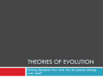 Review Slides - Evolution