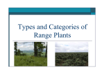 T d C i f Types and Categories of Range Plants