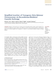 Simplified Insertion of Transgenes Onto Balancer Chromosomes via