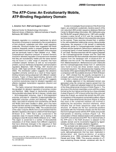 The ATP-Cone: An Evolutionarily Mobile, ATP