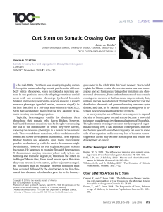 Curt Stern on Somatic Crossing Over
