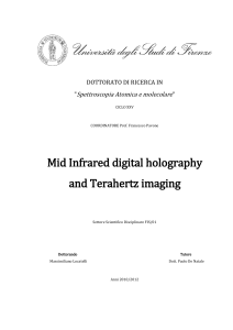 Mid Infrared digital holography and Terahertz imaging