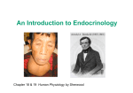 An Introduction to Endocrinology