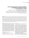 Genome Rearrangements Caused by Depletion of Essential DNA