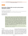 Reactivation of Epstein-Barr virus lytic cycle by histone deacetylase