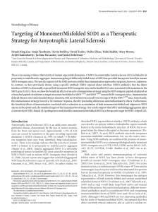 Targeting of Monomer/Misfolded SOD1 as a Therapeutic Strategy for