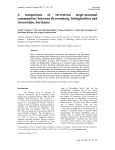 Comparison of terrestrial large-mammal communities in Suriname v2