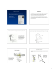 Somatosensory 2