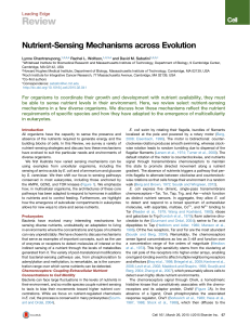 Nutrient-Sensing Mechanisms across Evolution - Sabatini Lab