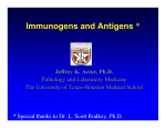 Immunogens and Antigens