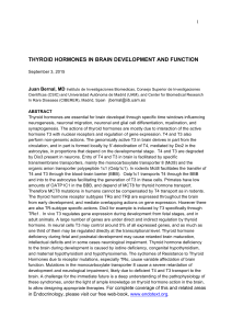 thyroid hormones in brain development and