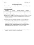 Identification of Anaerobes